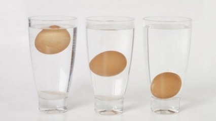 बासी अंडे को कैसे समझें?