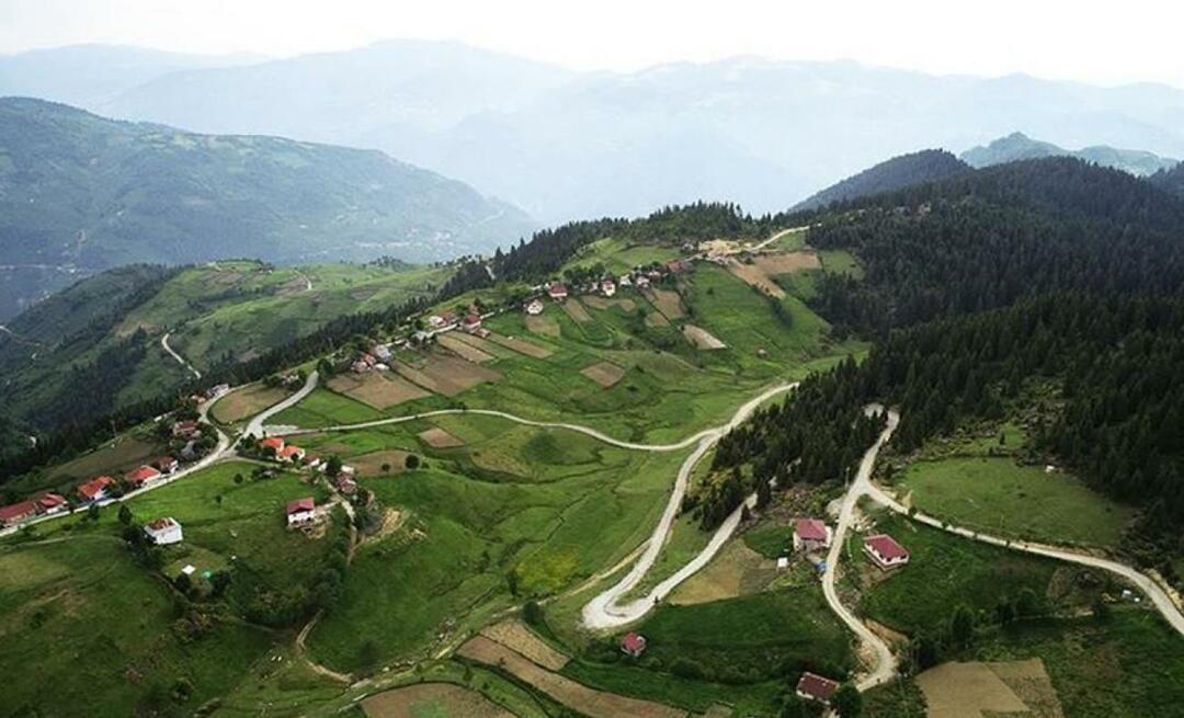 Çambaşı पठार कहाँ है? Çambaşı पठार कैसे जाएं?