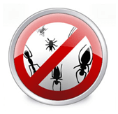 स्क्वैश बग्स और नासी वायरस कोड के लिए एंटी-वायरस इंस्टॉल करें!