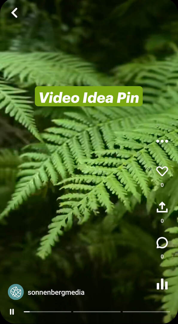 क्या हैं- Pinterest-विचार-पिन-सोनेनबर्गमीडिया-वीडियो-पिन-उदाहरण-1