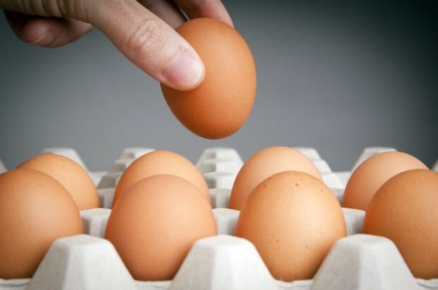 अंडे के भंडारण के तरीके