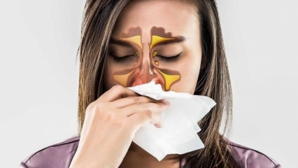 एलर्जी क्या है? एलर्जिक राइनाइटिस के लक्षण क्या हैं? एलर्जी कितने प्रकार की होती है? 