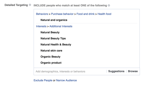 Facebook विज्ञापन विस्तृत लक्ष्यीकरण विकल्प उदाहरण