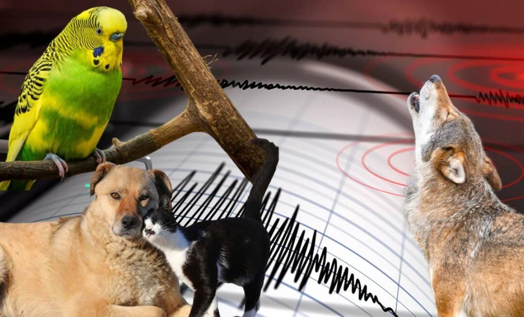 क्या जानवरों को भूकंप का पहले से आभास हो जाता है? भूकंप और असामान्य पशु व्यवहार...