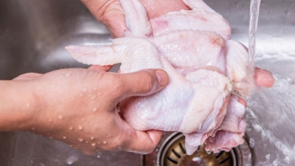 चिकन को कैसे साफ किया जाना चाहिए? 