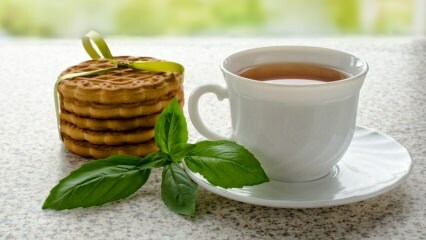 तुलसी के फायदे क्या हैं? तुलसी की चाय कैसे बनाये?