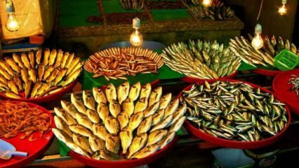 इस्तांबुल में ताजा और किफायती मछली की बिक्री अंक