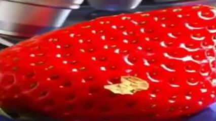 स्ट्राबेरी वीडियो जिसने सोशल मीडिया को चिह्नित किया! आप फिर से अपने मुंह में स्ट्रॉबेरी नहीं डालेंगे ...