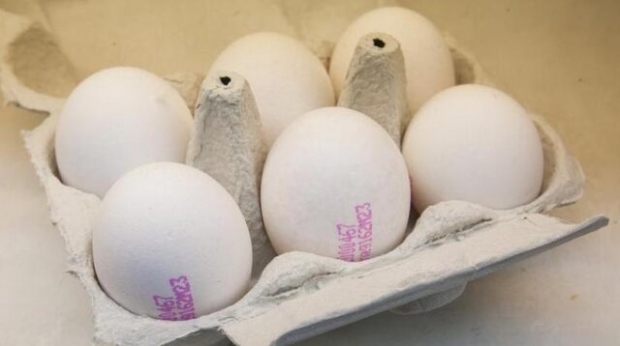 एक अच्छे अंडे को कैसे समझें