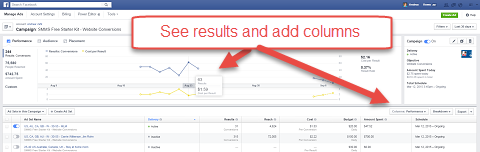 फेसबुक विज्ञापन प्रबंधक ग्राफ परिणाम