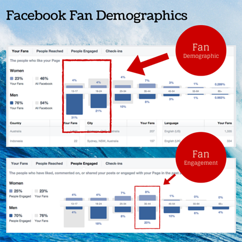 फेसबुक फैन डेमोग्राफिक चार्ट