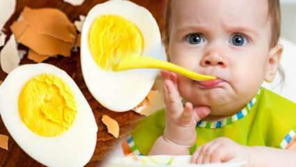 शिशुओं को अंडे की जर्दी कैसे दी जानी चाहिए? अंडा शुरू करने के लिए कितने महीने? बच्चे का अंडा पकाने की विधि