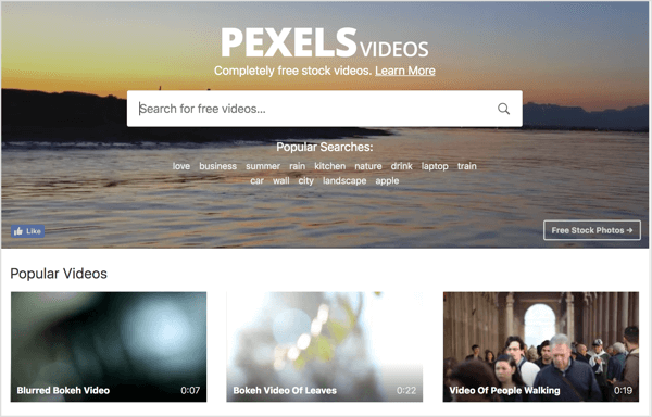 Pexels मुफ्त स्टॉक वीडियो प्रदान करता है जिसका उपयोग आप अपने लिंक्डइन वीडियो विज्ञापनों में कर सकते हैं।