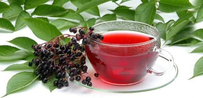 बिगबेरी चाय प्रतिरक्षा प्रणाली के लिए अविश्वसनीय लाभ प्रदान करता है