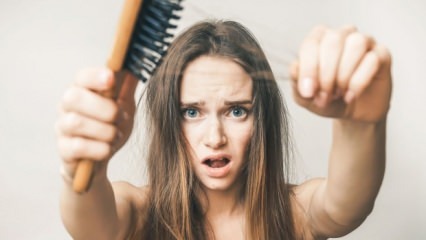 बालों को झड़ने से रोकने वाले खाद्य पदार्थ क्या हैं?