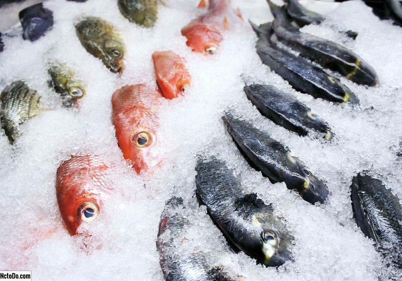 मछली को कैसे संग्रहीत किया जाता है? मछली को फ्रीजर में रखने के लिए क्या सुझाव हैं?