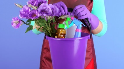 गुरुवार को घर की सफाई के क्या रहस्य हैं? तेल के लैंप में घर की सफाई