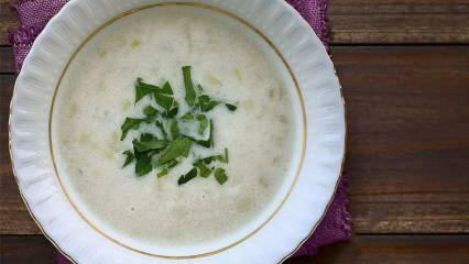 कैसे करें लीक सूप? सबसे आसान लीक सूप के लिए टिप्स
