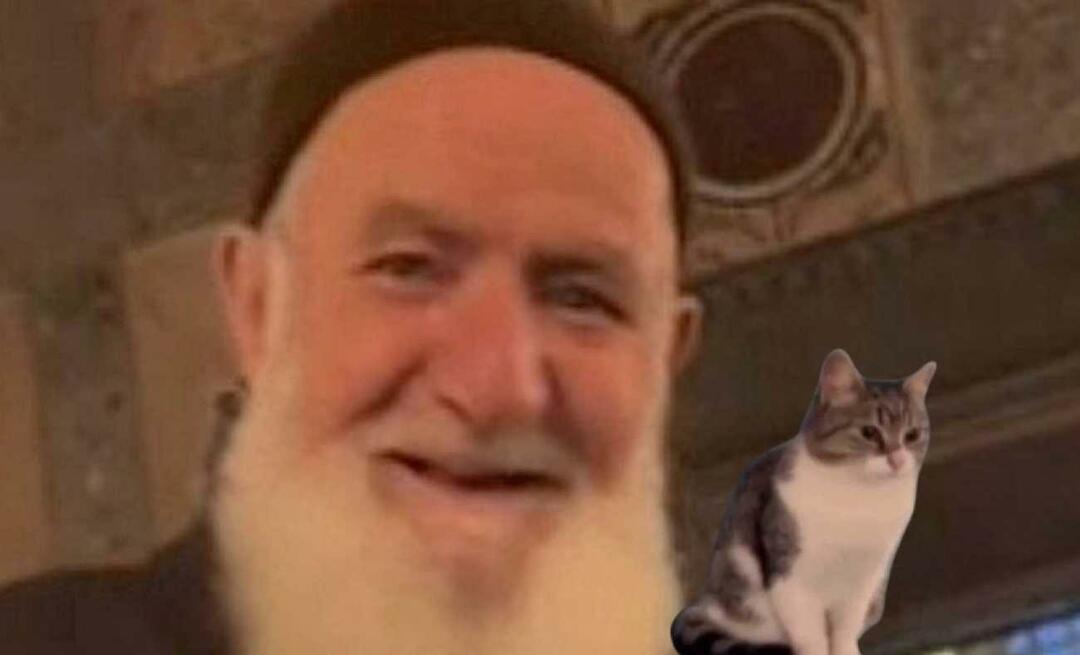 हागिया सोफिया में बिल्ली-प्रेमी दादाजी ने पहली बार बात की! अहमत डेडे ने मुझे फिर से मुस्कुराने पर मजबूर कर दिया