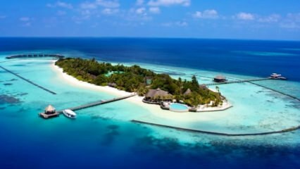 इंडोनेशिया का कोमोडो द्वीप 100 अरब संरक्षण में है!