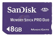 Dandisk मेमोरी कार्ड 8GB
