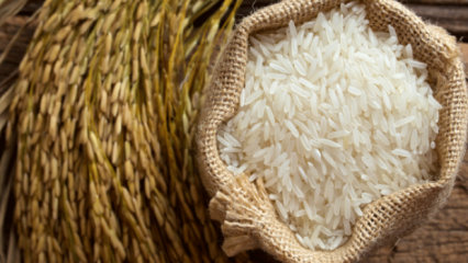चावल को सबसे अच्छा कैसे समझा जाता है? 