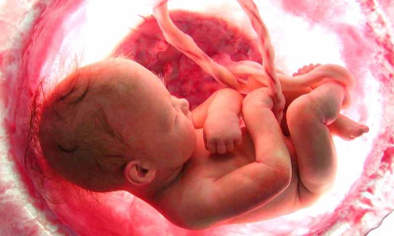 गर्भ में बच्चे का जन्म