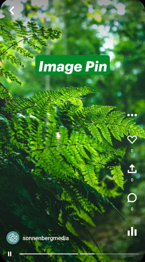 क्या हैं- Pinterest-विचार-पिन-सोनेनबर्गमीडिया-छवि-पिन-उदाहरण-2