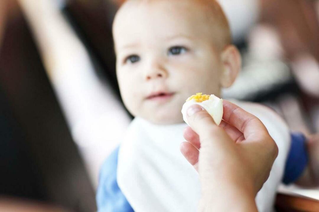 बच्चा अंडा खा रहा है