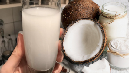 नारियल पानी क्या करता है? नारियल के फायदे क्या हैं?