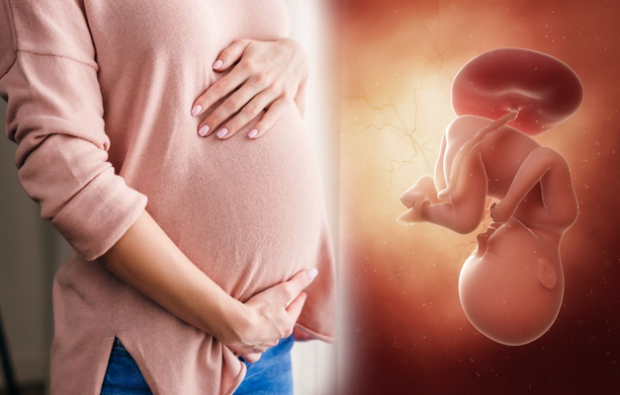 गर्भावस्था के लक्षण क्या हैं? गर्भावस्था के शुरुआती लक्षण