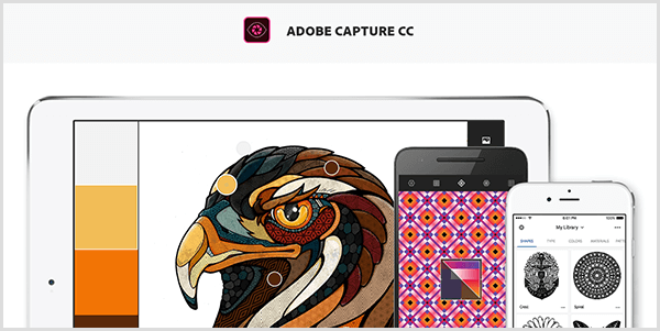 Adobe कैप्चर एक छवि से एक पैलेट बनाता है जिसे आप मोबाइल डिवाइस के साथ कैप्चर करते हैं। वेबसाइट एक पक्षी के चित्रण और चित्रण से बनाई गई एक पैलेट दिखाती है, जिसमें हल्के भूरे, पीले, नारंगी और लाल भूरे रंग शामिल हैं।