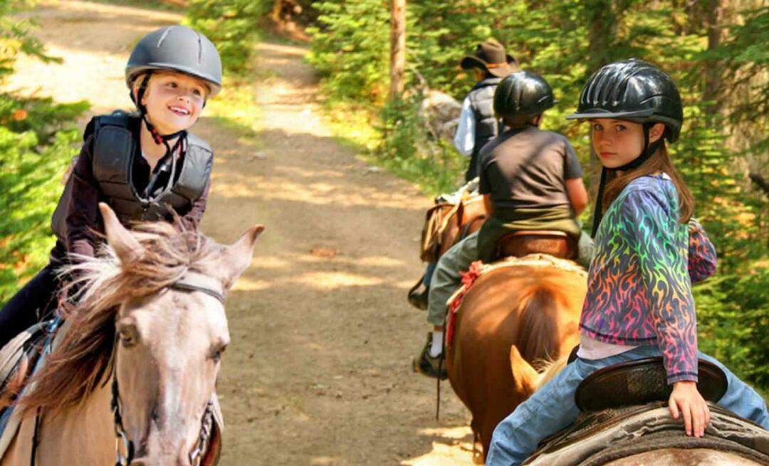 इस्तांबुल में घोड़ों की सवारी कहाँ करें? इस्तांबुल में घोड़ों की सवारी करने के स्थान