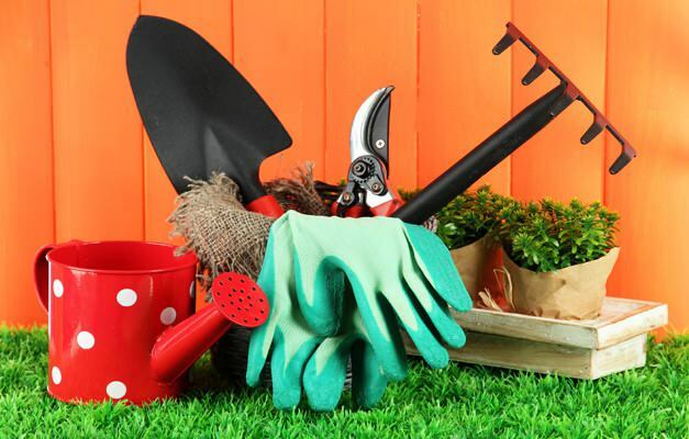 बगीचे की सफाई कैसे करें
