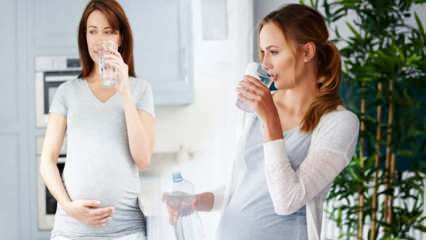 गर्भवती महिलाओं के लिए पानी पीने के फायदे! गर्भावस्था के दौरान प्रति दिन कितना पानी पीना चाहिए? 