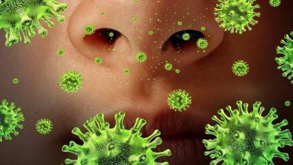 फिर से उभरना: सरस वायरस क्या है और इसके लक्षण क्या हैं? सरस वायरस कैसे फैलता है?