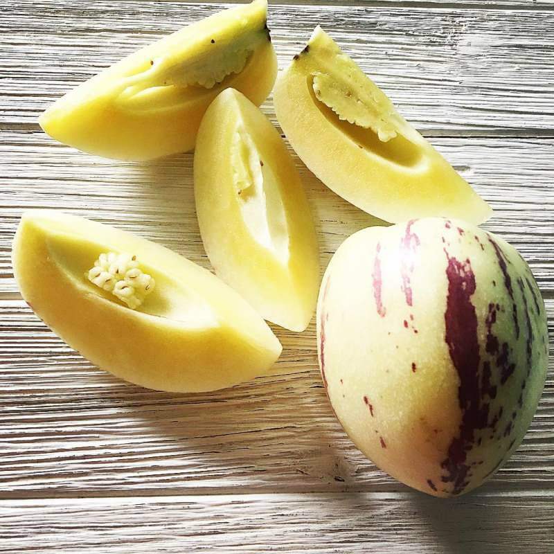 पेपिनो फल के क्या लाभ हैं? Pepino फलों की खपत और नुकसान है