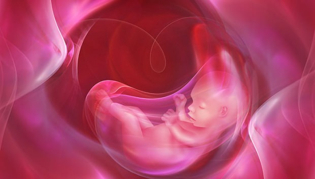 प्लेसेंटा प्रेविया क्या है? शिशुओं में गर्भनाल की देखभाल कैसे करें? यदि गर्भनाल लम्बी है ...