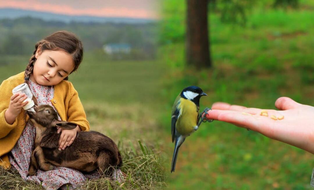 सूरह अनम की 38वीं श्लोक क्या कहता है? सूरह अनम की तिलावत और उसका तुर्की अर्थ...