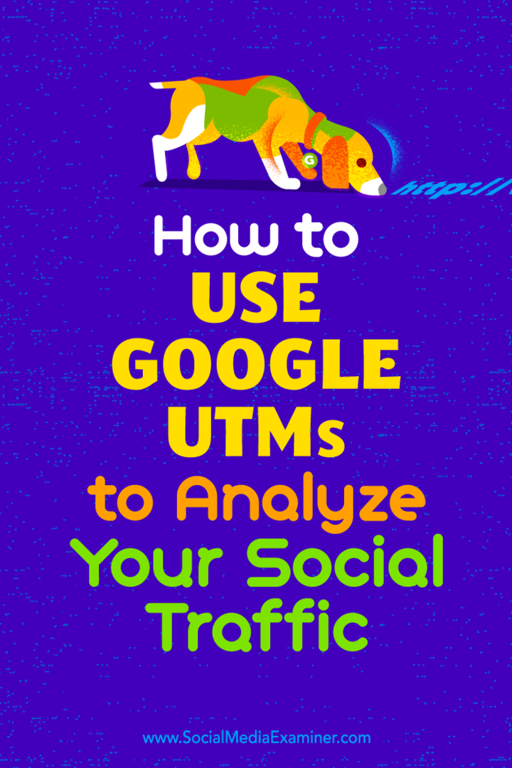 अपने सामाजिक ट्रैफ़िक का विश्लेषण करने के लिए Google UTM का उपयोग कैसे करें: सोशल मीडिया परीक्षक