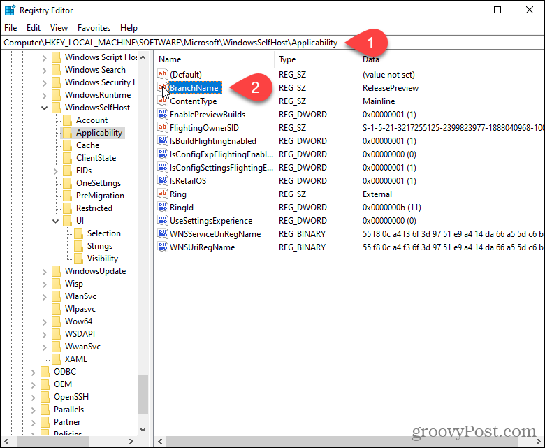Windows रजिस्ट्री में ब्रांचनाम कुंजी पर डबल-क्लिक करें
