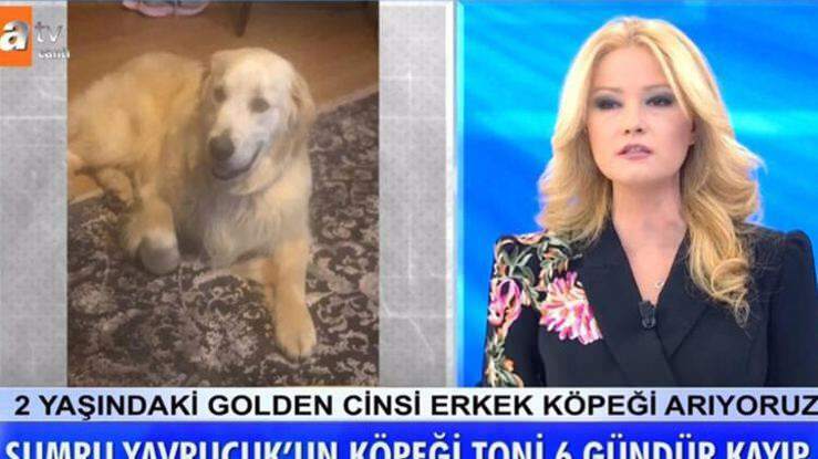 प्रस्तुतकर्ता Müge Anlı ने घोषणा की: अभिनेत्री सुमेरु यवरुचुक का कुत्ता पाया गया था ...