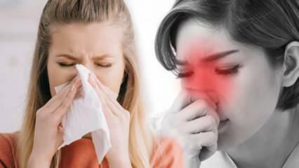 एलर्जिक राइनाइटिस क्या है? एलर्जिक राइनाइटिस के लक्षण क्या हैं? क्या एलर्जिक राइनाइटिस का कोई इलाज है?