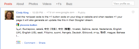 Google +1 स्निपेट अपडेट
