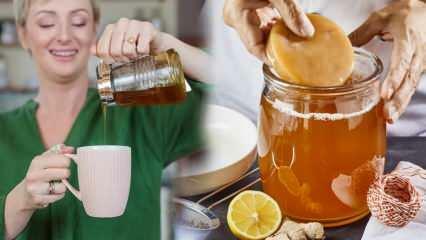 क्या कोम्बुचा चाय कमजोर होती है? वजन कम करने वाला कोम्बुचा कैसे बनाएं? कोम्बुचा चाय के फायदे