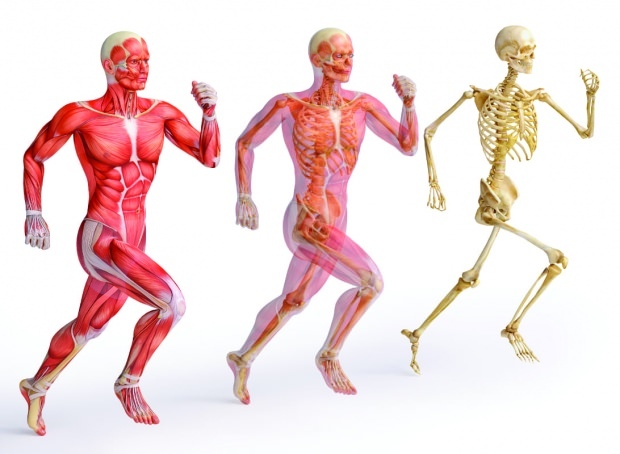 मजबूत मांसपेशियों और हड्डी की संरचना के लिए जस्ता आवश्यक है