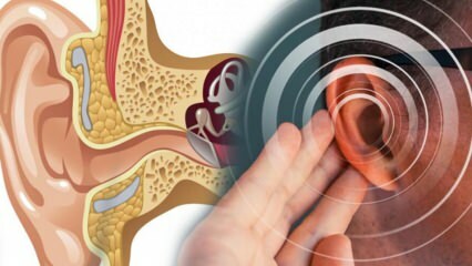 कान का रोग: क्या मेनियर का कारण बनता है? Meniere के लक्षण क्या हैं? क्या कोई इलाज है?