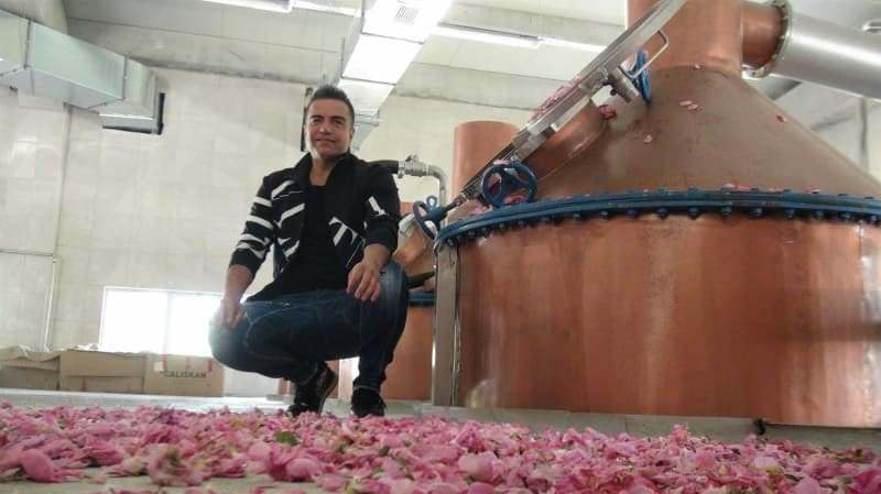 बर्डन मर्दिनी ने अपने गृहनगर मर्द में गुलाब का तेल कारखाना स्थापित किया