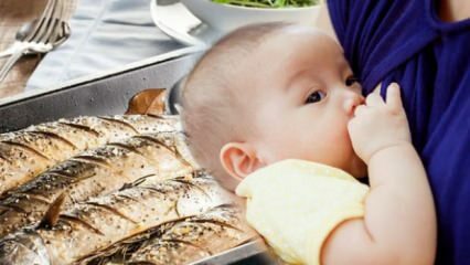 क्या स्तनपान के दौरान मछली को खाया जा सकता है?