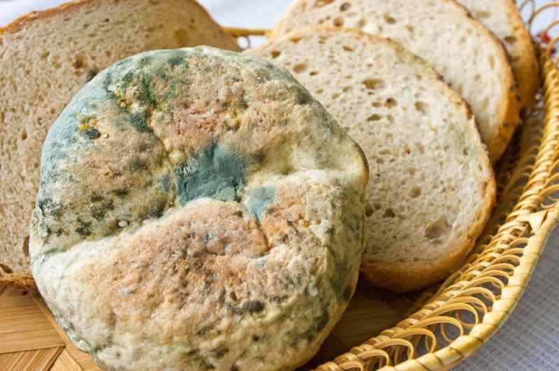 रोटी को बासी और मोल्ड होने से रोकने के तरीके